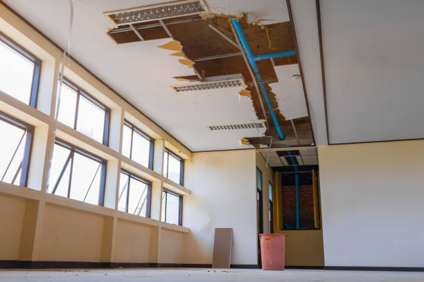 Best Flood damage cleanup  in Tonka Bay, MN