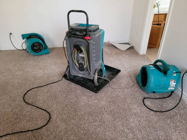 Best Professional water damage repair  in Tonka Bay, MN