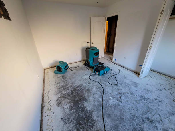 24/7 water damage repair in MN