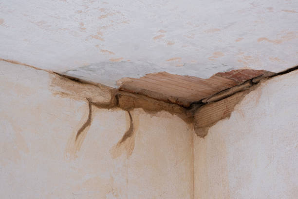 Reliable MN Water damage restoration Solutions