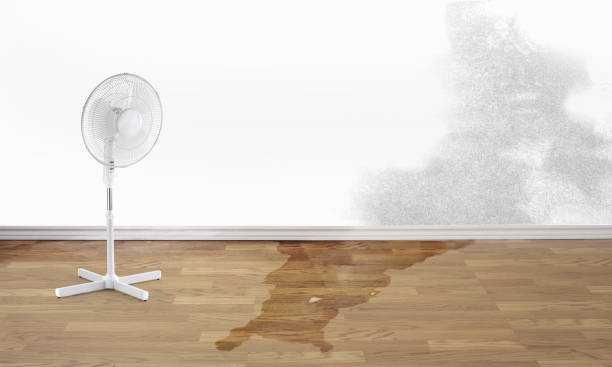 Best 24/7 water damage repair  in Tonka Bay, MN