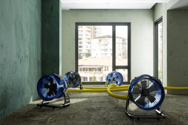 Best Commercial water damage restoration  in Tonka Bay, MN